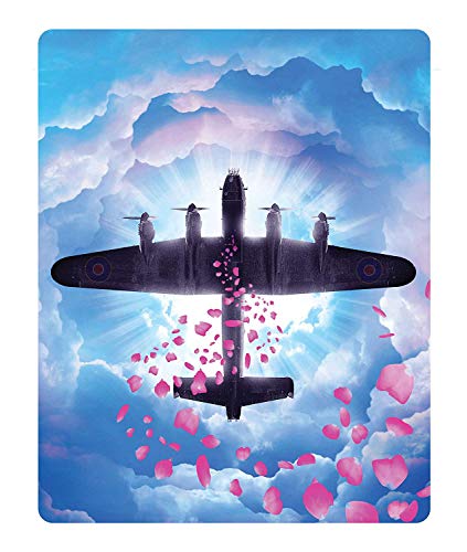 Lancaster bomber flies through clouds with falling pink petals.