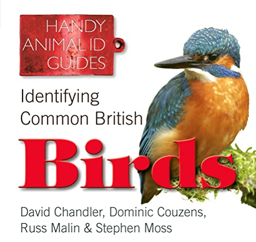HANDY ANIMAL ID GUIDES - IDENTIFYING COMMON BRITISH BIRDS