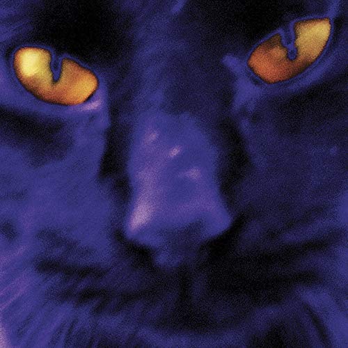Close-up of a cat face with glowing yellow eyes against a dark purple background.