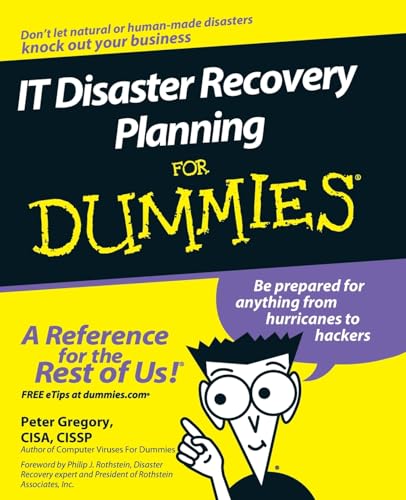 It Disaster Recovery Planning for Dummies