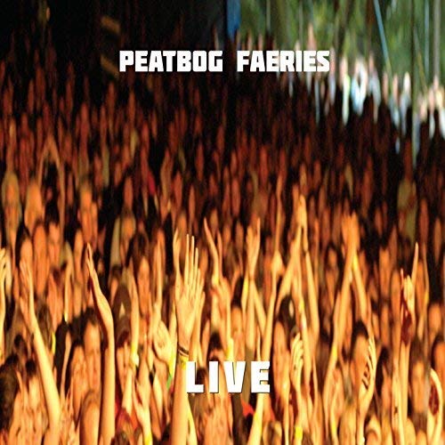 Crowd with raised hands at a Peatbog Faeries live concert.