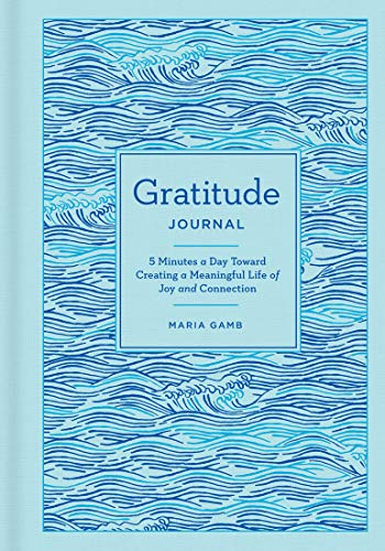 Gratitude Journal: 5 Minutes a Day Toward Creating a Meaningful Life of Joy and Connection (Gilded, Guided Journals)