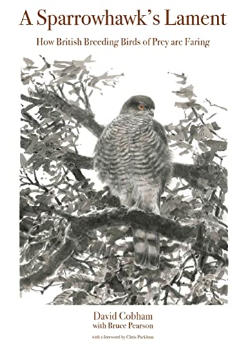 Book cover featuring a detailed illustration of a sparrowhawk perched on a branch.