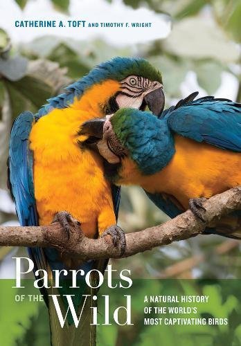 Parrots of the Wild: A Natural History of the World s Most Captivating Birds