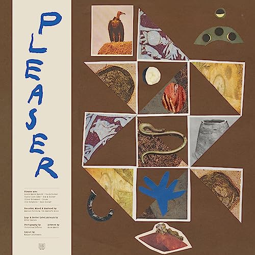 Album cover for “Pleaser” with collage of animals and abstract shapes.