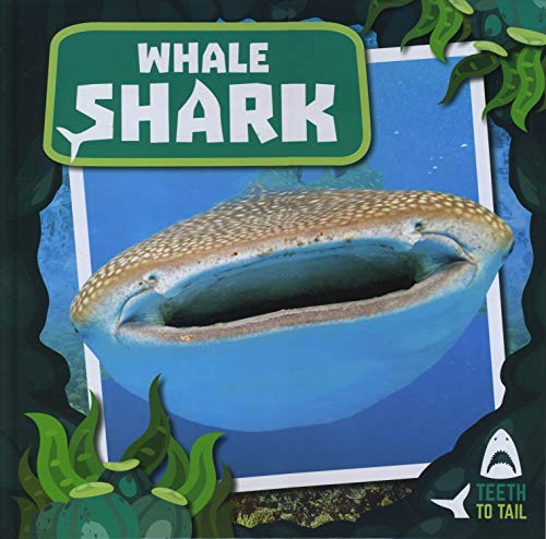 Whale Shark: Teeth to Tail