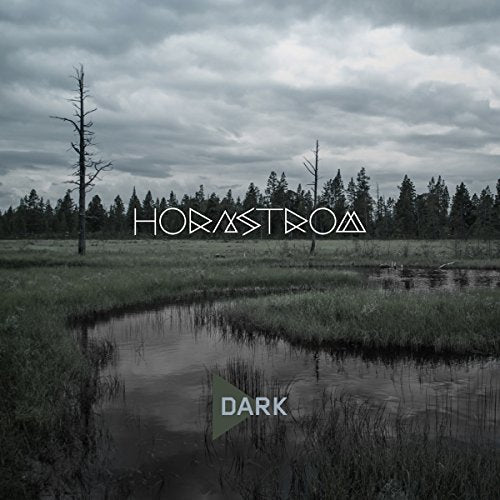 CD cover for Hornstrom - Dark, featuring a desolate, swampy landscape.