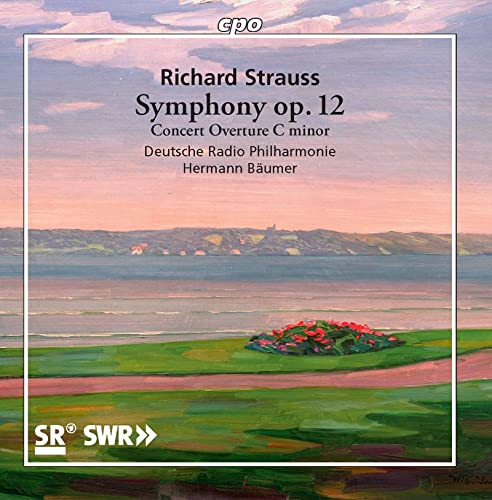 CD cover for Richard Strauss’s Symphony, featuring a landscape painting.