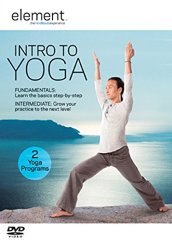 DVD cover: man in warrior pose practicing yoga with ocean backdrop.