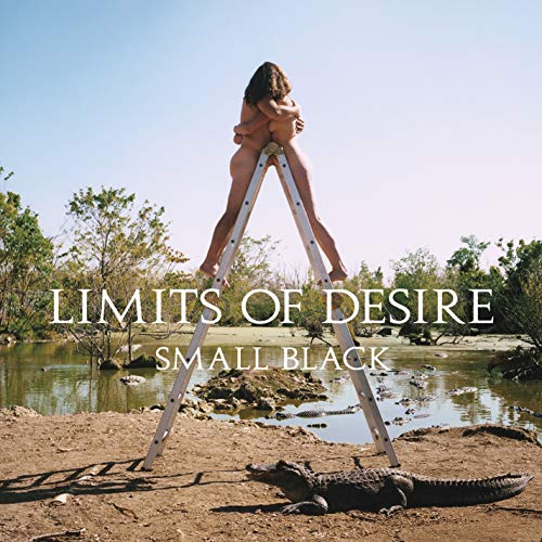 Two nude figures embrace on a ladder over water and an alligator.