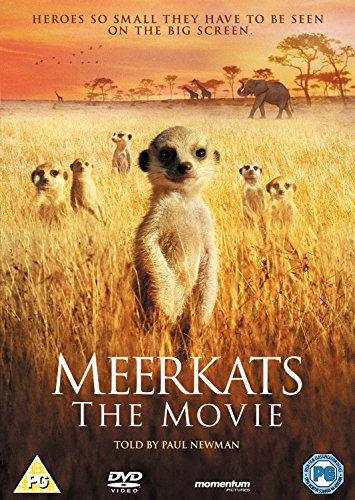 A group of meerkats stands in tall grass against an African savanna backdrop.