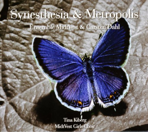 CD cover with a blue butterfly against a textured, mottled background.