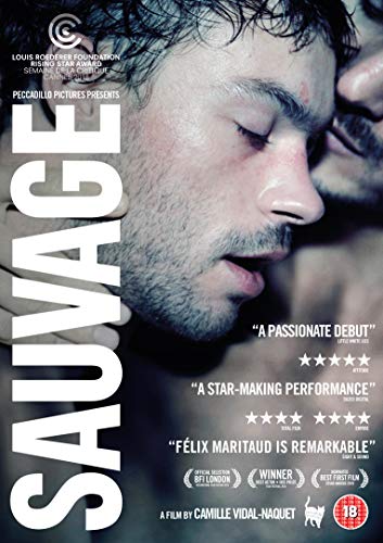 DVD cover for "Sauvage" featuring a close-up of two men embracing.