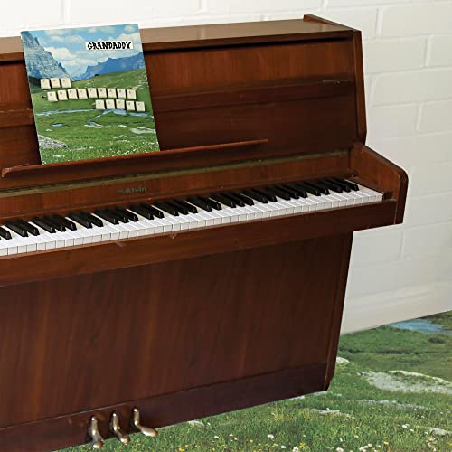 Vinyl record album cover rests on a vintage, dark wood piano.