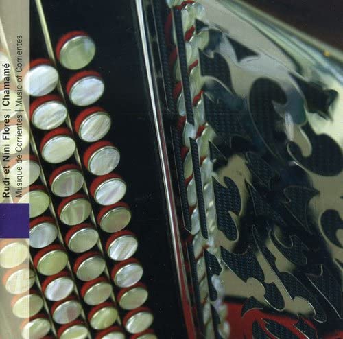 Close-up of a silver and black accordion with red button details.