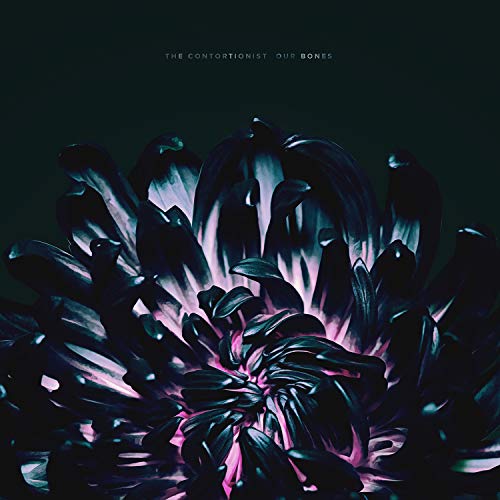 Dark purple flower with glowing pink center, album cover art.
