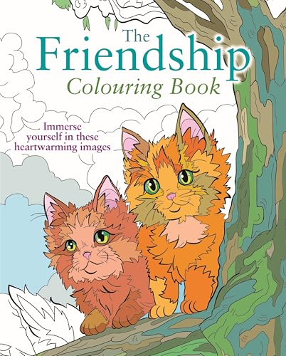 The Friendship Colouring Book : Immerse yourself in these heartwarming images