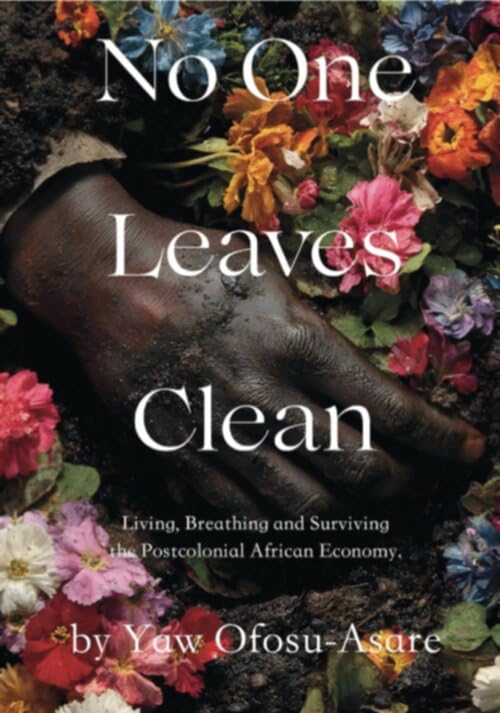 No One Leaves Clean : Living, Breathing and Surviving the Postcolonial African Economy