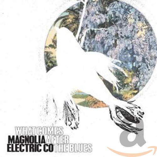 CD cover: white bird silhouette over blurred, colorful landscape.