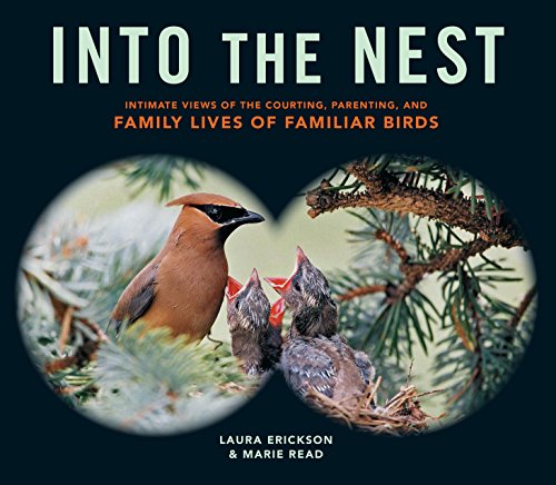 Into the Nest : Intimate Views of the Courting, Parenting, and Family Lives of Familiar Birds
