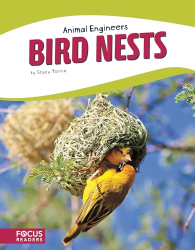 Bird Nests