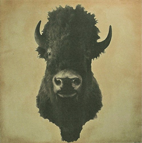 Dark bison head portrait on a textured, aged beige background.