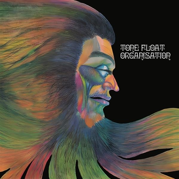 Painted profile of a face with colorful, flowing hair; album cover.