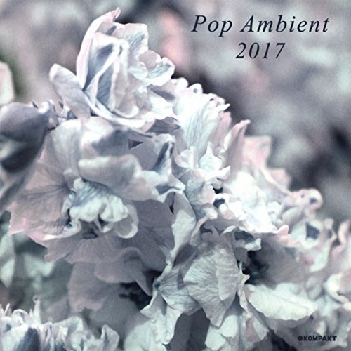 CD cover for “Pop Ambient 2017” featuring blurred, pale floral imagery.