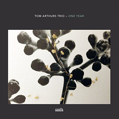 CD cover for Tom Arthurs Trio’s “One Year” featuring a plant branch.