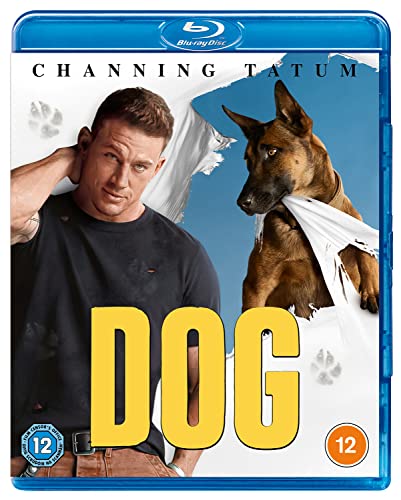 Channing Tatum and a Belgian Malinois dog on the cover of the Dog Blu-ray.