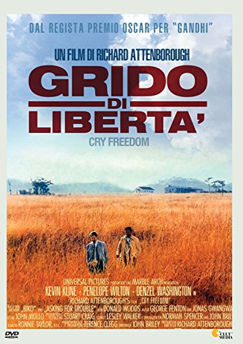 Cry Freedom" DVD cover: two men in a golden field under a blue sky.