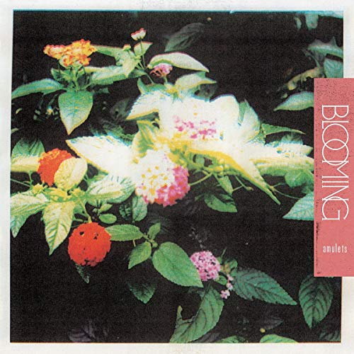 Album cover for Amulets - Blooming, featuring colorful flower photography.