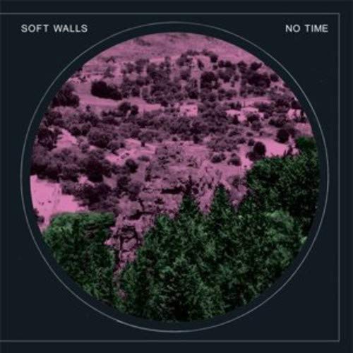 Vinyl record cover for Soft Walls’ “No Time” featuring a pink landscape.