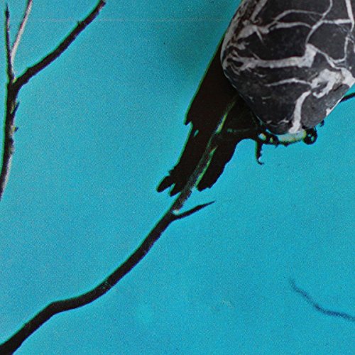 Blue background with a black bird perched on a dark branch.