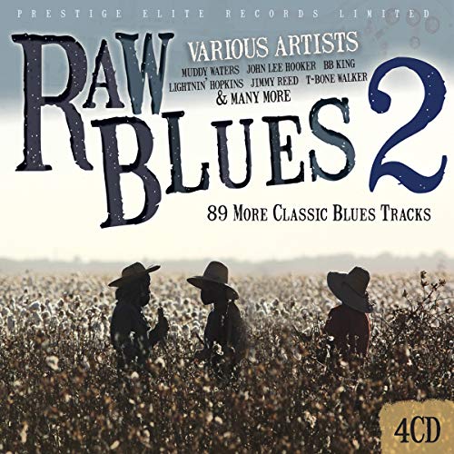 CD cover for "Raw Blues Vol. 2" featuring silhouetted figures in a field.