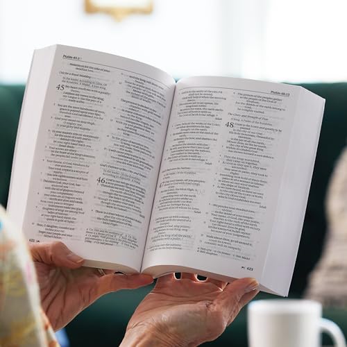 NRSV, Catholic Edition Bible, Paperback, Hillside Scenic : Holy Bible