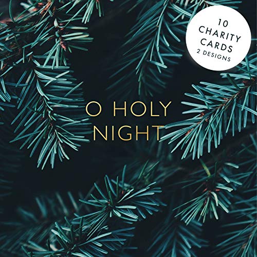 SPCK Charity Christmas Cards, Pack of 10, 2 Designs: Festive Scene (SPCK Christmas Cards)