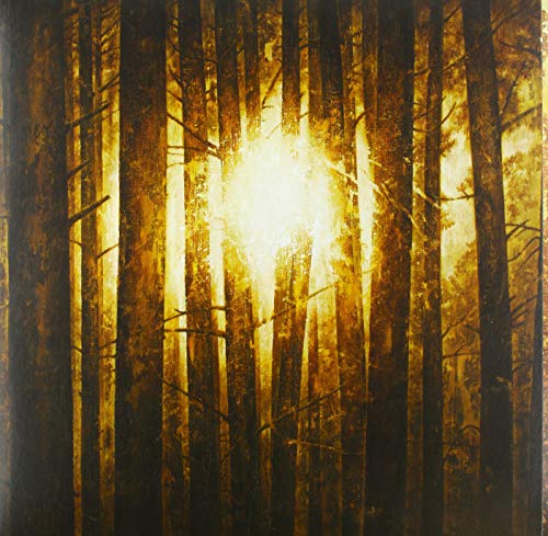 Dark forest scene with bright, central light source on album cover.