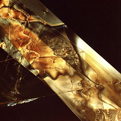 Abstract gold and brown swirls on a black background, CD album art.