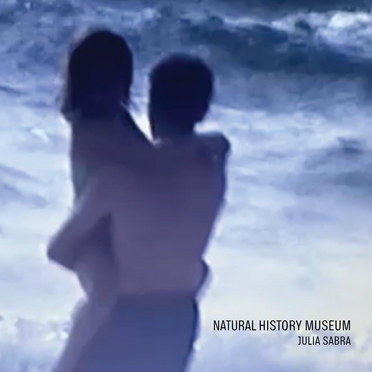 Vinyl record of Sabra & Julia’s “Natural History Museum” album, colorful cover.
