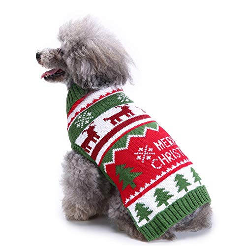 A small, fluffy poodle wearing a red and green Christmas sweater.