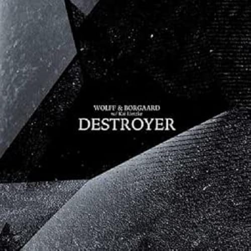 Vinyl record cover for “Destroyer” by Wolff & Bogaard, dark abstract design.