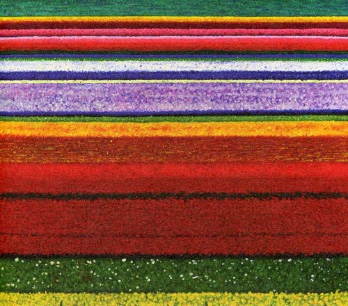Colorful horizontal stripes of flowers, album art for City & Colour.