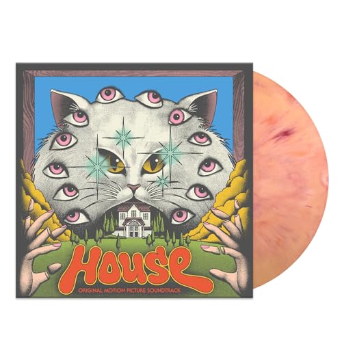 Vinyl record cover featuring a cat with many eyes and a house.