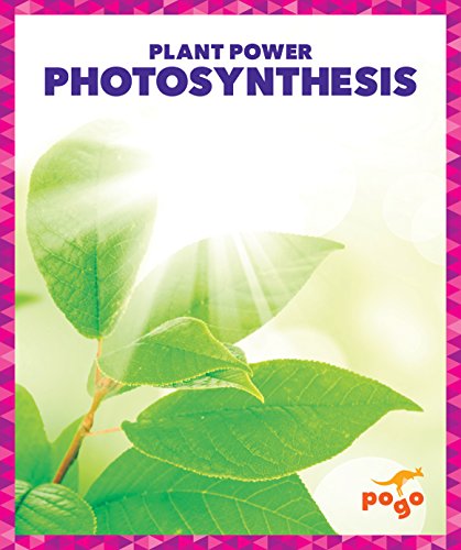 Photosynthesis (Plant Power)