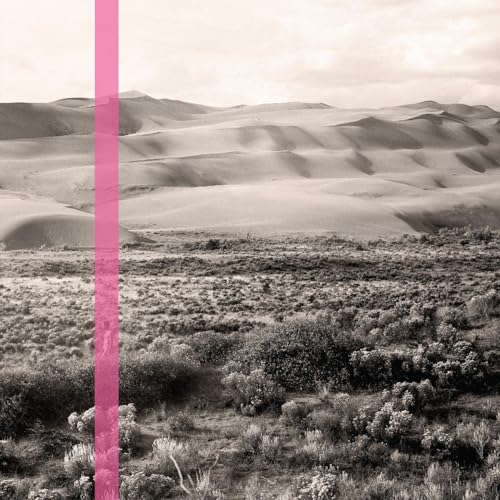 Desert landscape with a vertical pink stripe, album cover art.