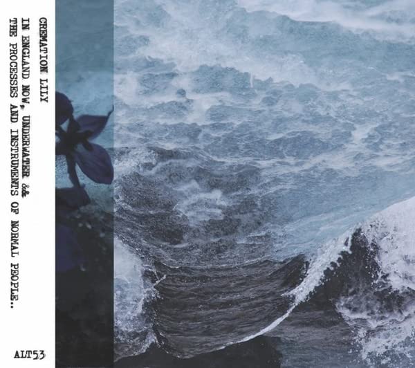 CD cover: stormy ocean waves with a dark lily and text.