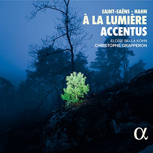 CD cover: misty forest with a small, illuminated tree.