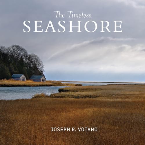 The Timeless Seashore
