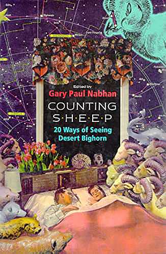 Counting Sheep : Twenty Ways of Seeing Desert Bighorn
